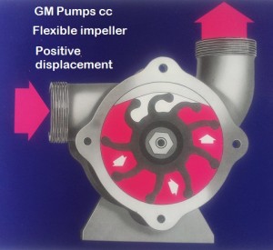 Flexible impeller pumps