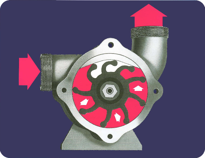 Flexible Impeller Pump Information | GM Pumps cc